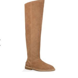 NWOT Over The Knee Suede UGG boots